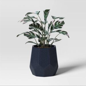 Geared Geometric Ceramic Indoor Outdoor Planter Pot from Threshold